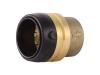 Brass Push Cap - SKU: UXL0435