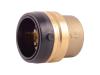 Brass Push Cap - SKU: UXL0441
