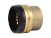 Brass Push Cap - SKU: UXL0454