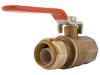 Ball Valve with FNPT Connector - SKU: 22186-0000LF