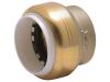 Push-to-Connect PVC Cap - SKU: UIP520