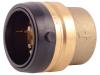Brass Push Cap - SKU: UXL0441