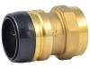 Brass Push Female Adapter - SKU: UXL113532F
