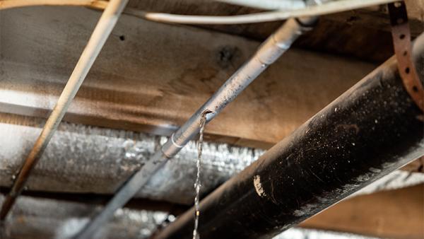 A leaking pipe that will be repaired with a SharkBite fitting