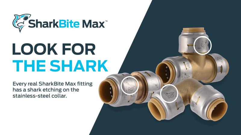 SB vs SB Max_Look for the Shark